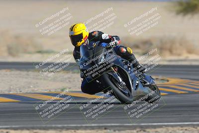 media/Feb-04-2023-SoCal Trackdays (Sat) [[8a776bf2c3]]/Turn 4 (Tree of Life 2pm)/